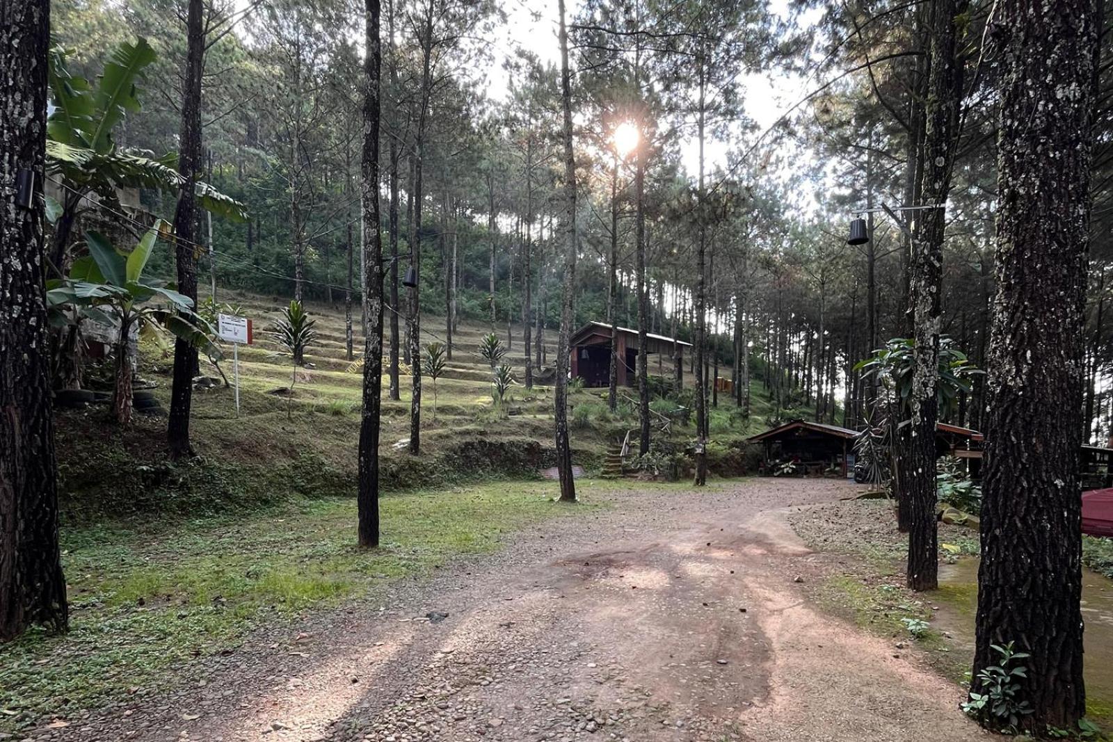 Alas Pacet By Twospaces, Mojokerto Εξωτερικό φωτογραφία
